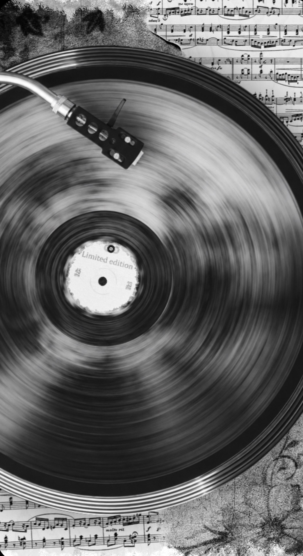 Money Back Records vinyl record, photo 2